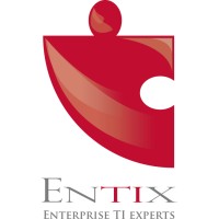 ENTIX logo - Similar company to Dbtech Ti Chile