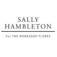 Sally Hambleton logo - Similar company to Metatopy