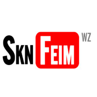 SKN FEIM logo - Similar company to Plus Division