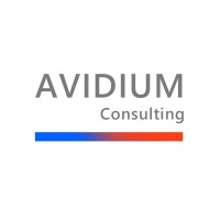 Avidium Consulting Ltd logo - Similar company to Pinnacle Project Partners