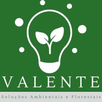 Valente Soluções Ambientais logo - Similar company to Ares Ambiental