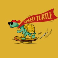 Speed Turtle Pvt Ltd logo - Similar company to Morfdesk