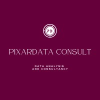 PixarData Consult logo - Similar company to Websonik Applicaties Bv