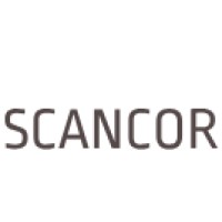 Scandinavian Consortium for Organizational Research logo - Similar company to Datavysts