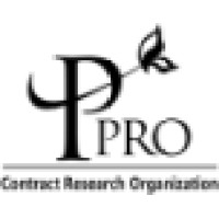 P-Pro Korea
