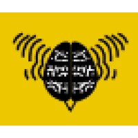 Brainbuzz