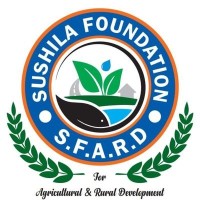 Sushila Foundation logo - Similar company to Roy Digital - Digital Marketing Course In Delhi