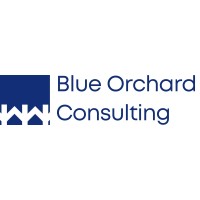 Blue Orchard Consulting logo - Similar company to Nownow Dispatch