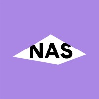 NAS logo - Similar company to Nas