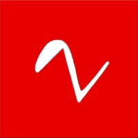 Netonline Media logo - Similar company to Ai Masters Dojo