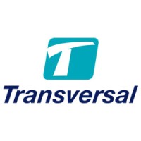 Transversal logo - Similar company to Verint Transversal