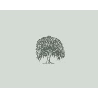 Willow Road Partners logo - Similar company to Transport Authority, Inc.