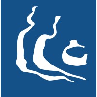 GM DIMENSIONE logo - Similar company to Alike 3D Visual Studio