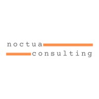 noctua consulting logo - Similar company to Cheetah Charge