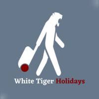 White Tiger Holidays logo - Similar company to Nochini