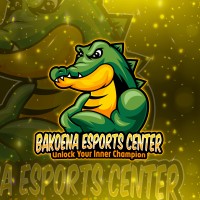 Bakoena Esports logo - Similar company to Bakoena Technologies