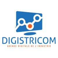 DIGISTRICOM logo - Similar company to Play & Code Academy