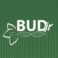 BUDjr logo - Similar company to Nutri Jr