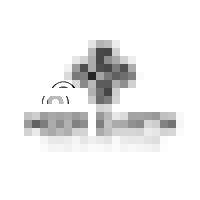 Neerearth logo - Similar company to Swaag Co