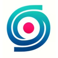 boomerangue logo - Similar company to Pluguefy Erp P/ Industrias De Calçados Com #Ia