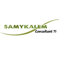 Samy Kalem's IT Consultants logo - Similar company to Kral Studio