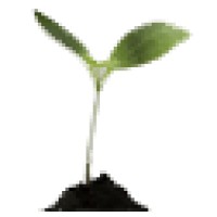 Richwind Investment N.V.