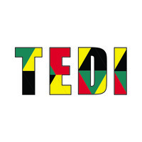 TEDI Moçambique logo - Similar company to Sattis, Lda