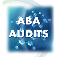 ABA AUDITS LTD