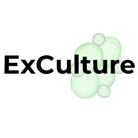 ExCulture logo - Similar company to Irasec