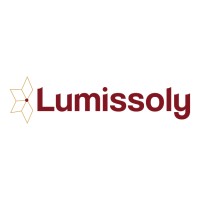 Lumissoly ✨ logo - Similar company to Aravel Technologies