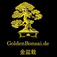Golden Bonsai GmbH logo - Similar company to Chance To Grow E.V.