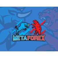 MetaForex Ltd. logo - Similar company to Metaforex
