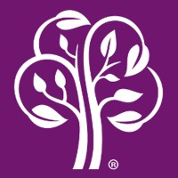 Branch Branding logo - Similar company to 3A Branding
