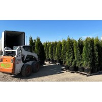 Bill’s Commercial Landscape Maintenance Inc. logo - Similar company to Elite Landscape Group