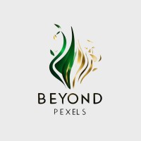 Beyond Pexels logo - Similar company to Beyond Pixels