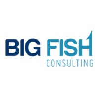 Big Fish Consulting logo - Similar company to Black Anchor Design, Llc.