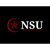 North Starz Underground LLC logo - Similar company to Ndk Scrapers Inc