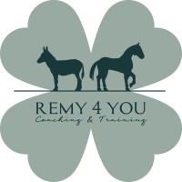REMY4YOU Coaching & Training logo - Similar company to Vivequi - Personal, Team And Sales Development Coaching And Training.