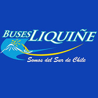 Buses Liquiñe logo - Similar company to Train Control Professionals