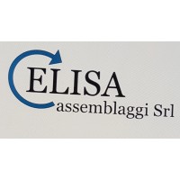 Elisa assemblaggi srl logo - Similar company to Loop Assemblaggi S.R.L.