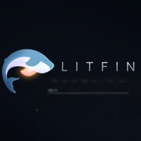 LitFin LLC logo - Similar company to Data Century