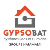 Gypsobat logo - Similar company to Tashfeen Engineering Solutions
