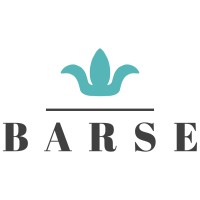 Barse Jewelry logo - Similar company to Akola