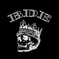 BDE Labs logo - Similar company to Boton Health