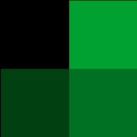 South African Society of Registered Persons (SASRP) logo - Similar company to Forexmandu