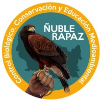 Ñuble Rapaz logo - Similar company to Terraforest
