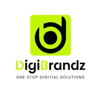 Digibrandz IT Solutions logo - Similar company to Ntech Digital Solutions
