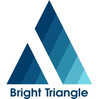Bright Triangle Company logo - Similar company to Arastium For Catering And Services Ltd.