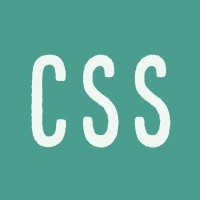 CSS logo - Similar company to Css