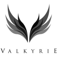 Valkyrie Cyber Security logo - Similar company to Angel Cybersecurity